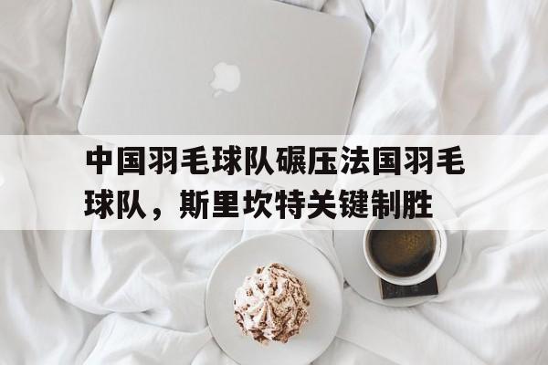 中国羽毛球队碾压法国羽毛球队，斯里坎特关键制胜的简单介绍